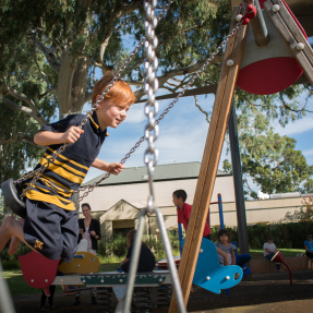 Coke Park, Norwood - swing