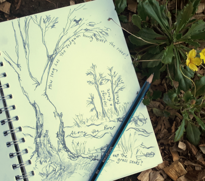 Image for Nature Journaling Workshop