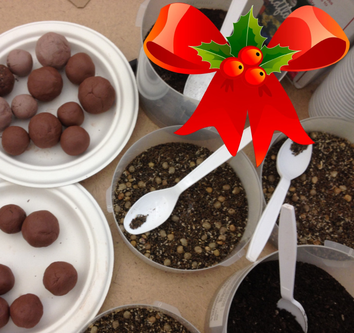 Image for DIY Sustainable Christmas - How to make Seed Bombs