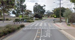 Wombat crossing Example of a wombat crossing