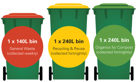 Bin collection infographic